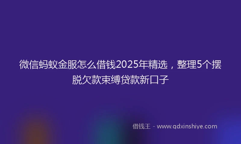 微信蚂蚁金服怎么借钱2025年精选，整理5个摆脱欠款束缚贷款新口子