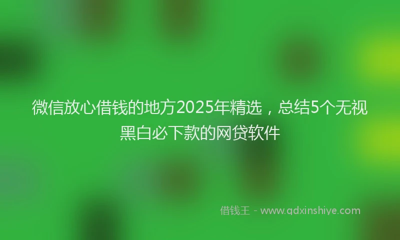微信放心借钱的地方2025年精选，总结5个无视黑白必下款的网贷软件