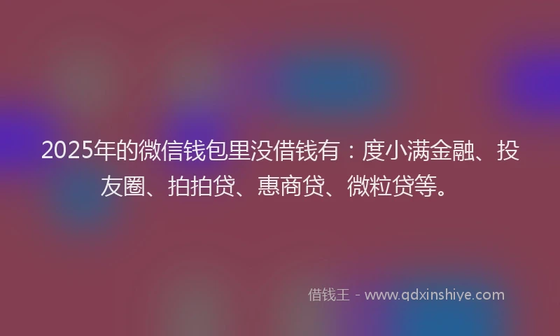 2025年的微信钱包里没借钱有：度小满金融、投友圈、拍拍贷、惠商贷、微粒贷等。