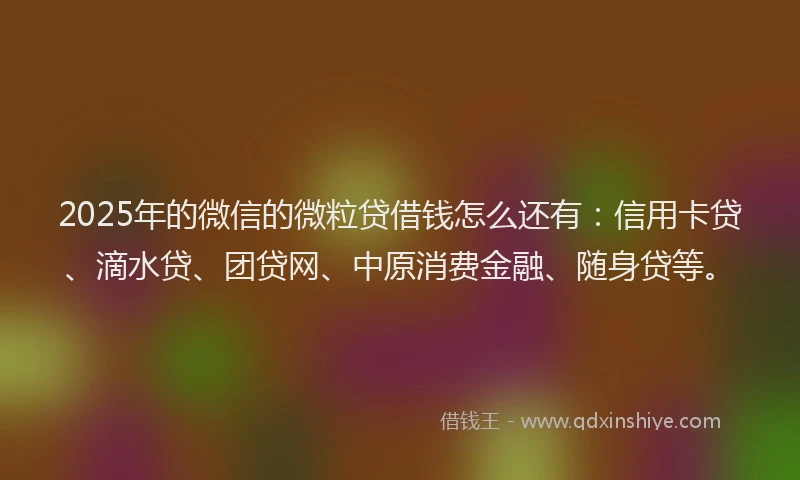 2025年的微信的微粒贷借钱怎么还有：信用卡贷、滴水贷、团贷网、中原消费金融、随身贷等。