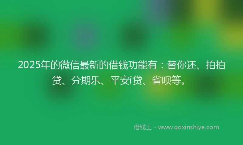 2025年的微信最新的借钱功能有：替你还、拍拍贷、分期乐、平安i贷、省呗等。