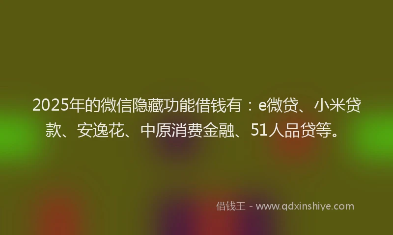2025年的微信隐藏功能借钱有：e微贷、小米贷款、安逸花、中原消费金融、51人品贷等。