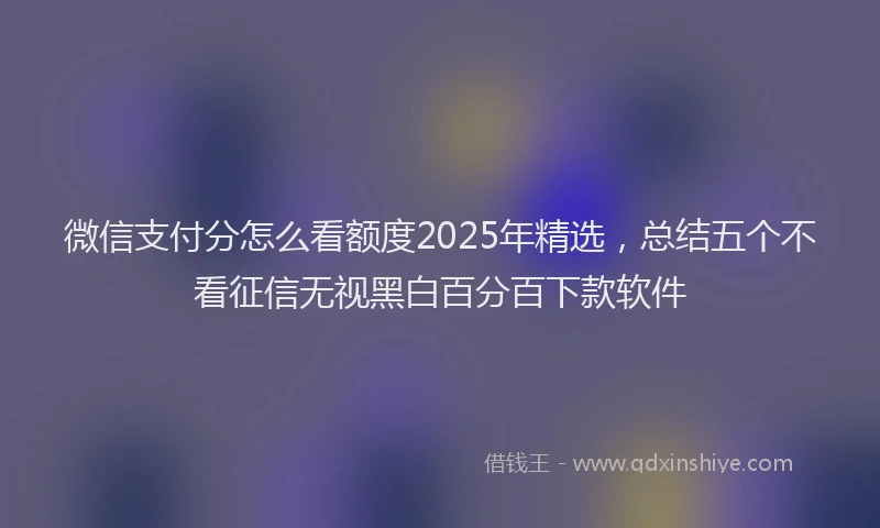 微信支付分怎么看额度2025年精选，总结五个不看征信无视黑白百分百下款软件
