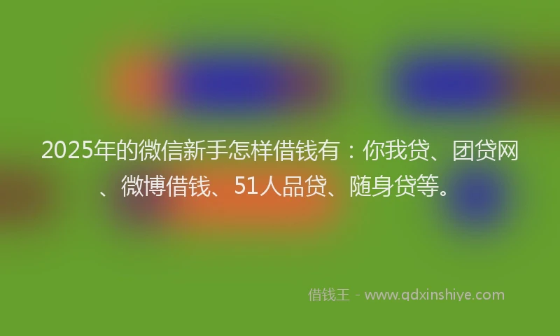 2025年的微信新手怎样借钱有：你我贷、团贷网、微博借钱、51人品贷、随身贷等。