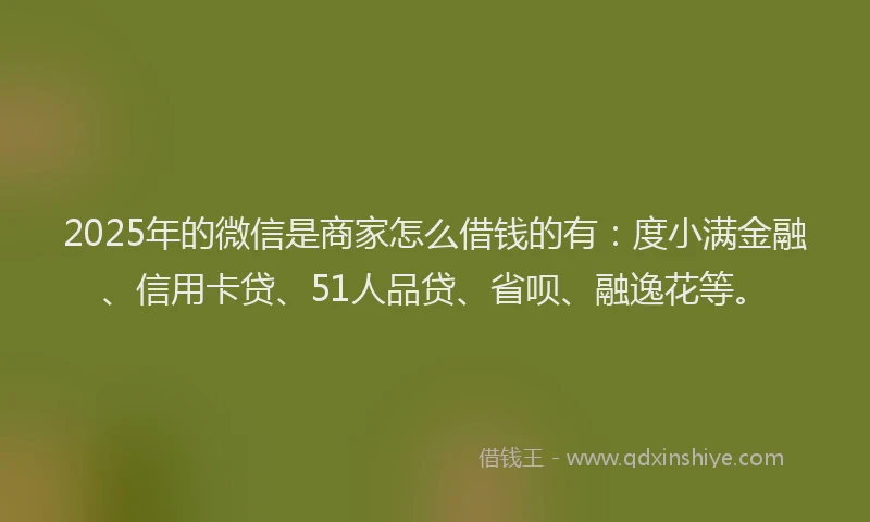 2025年的微信是商家怎么借钱的有：度小满金融、信用卡贷、51人品贷、省呗、融逸花等。