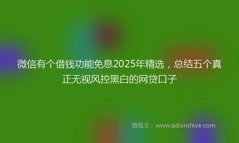 微信有个借钱功能免息2025年精选，总结五个真正无视风控黑白的网贷口子