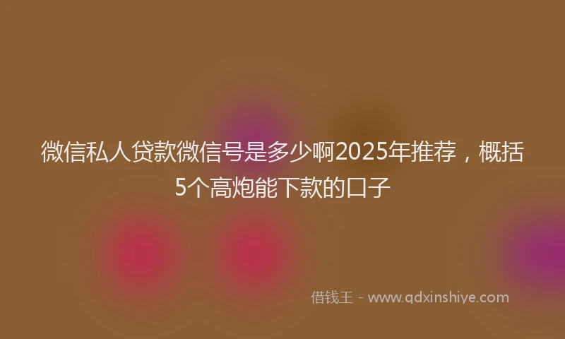 微信私人贷款微信号是多少啊2025年推荐，概括5个高炮能下款的口子