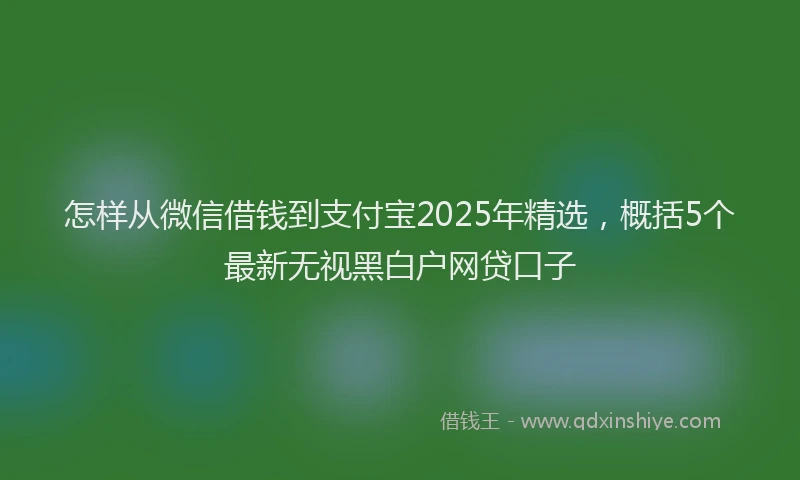 怎样从微信借钱到支付宝2025年精选，概括5个最新无视黑白户网贷口子