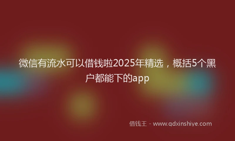 微信有流水可以借钱啦2025年精选，概括5个黑户都能下的app