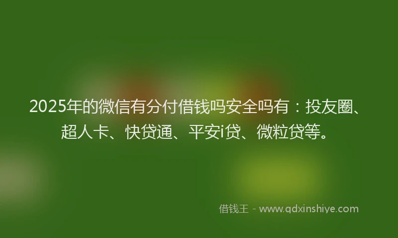 2025年的微信有分付借钱吗安全吗有：投友圈、超人卡、快贷通、平安i贷、微粒贷等。