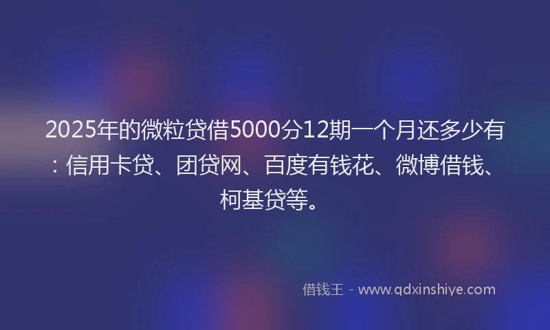 2025年的微粒贷借5000分12期一个月还多少有：信用卡贷、团贷网、百度有钱花、微博借钱、柯基贷等。