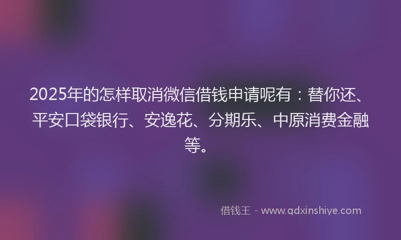 2025年的怎样取消微信借钱申请呢有：替你还、平安口袋银行、安逸花、分期乐、中原消费金融等。