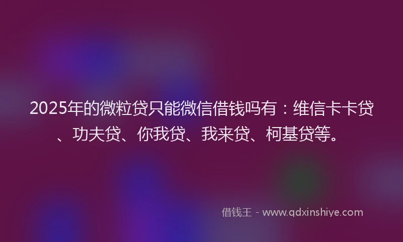 2025年的微粒贷只能微信借钱吗有：维信卡卡贷、功夫贷、你我贷、我来贷、柯基贷等。