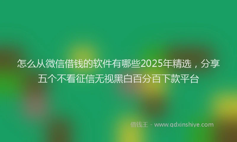 怎么从微信借钱的软件有哪些2025年精选，分享五个不看征信无视黑白百分百下款平台