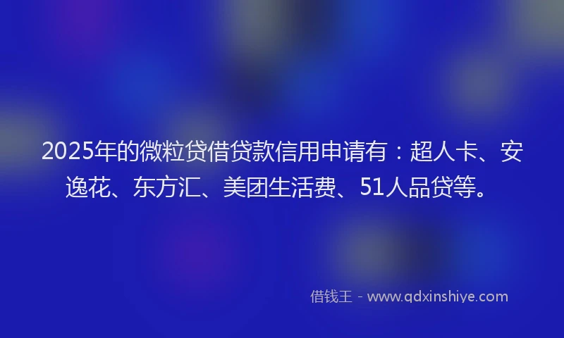 2025年的微粒贷借贷款信用申请有：超人卡、安逸花、东方汇、美团生活费、51人品贷等。