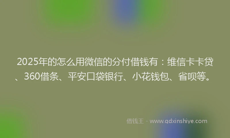 2025年的怎么用微信的分付借钱有：维信卡卡贷、360借条、平安口袋银行、小花钱包、省呗等。