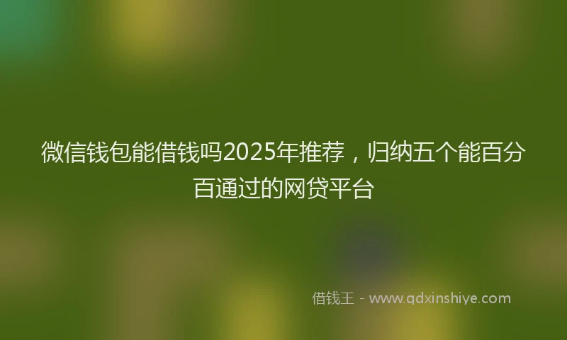 微信钱包能借钱吗2025年推荐，归纳五个能百分百通过的网贷平台