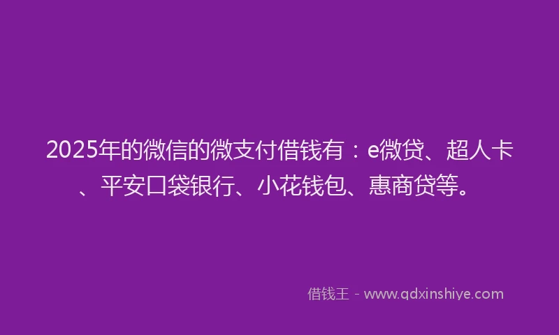 2025年的微信的微支付借钱有：e微贷、超人卡、平安口袋银行、小花钱包、惠商贷等。
