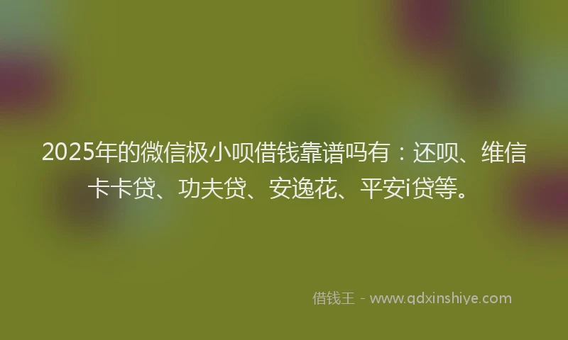 2025年的微信极小呗借钱靠谱吗有：还呗、维信卡卡贷、功夫贷、安逸花、平安i贷等。