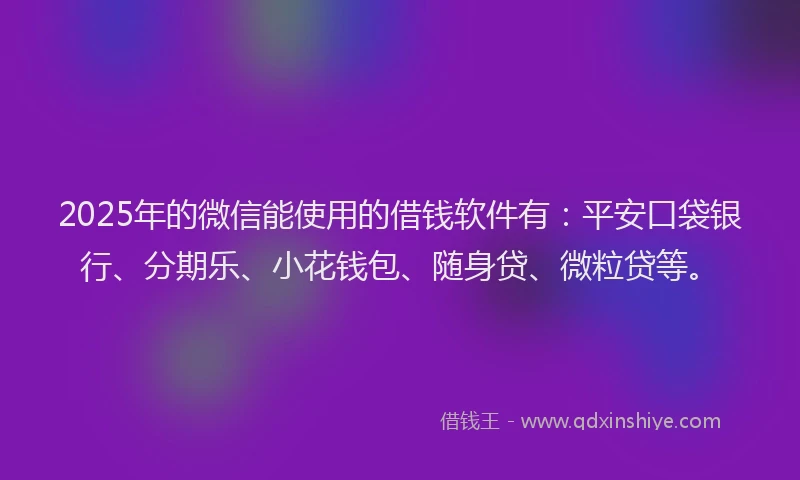 2025年的微信能使用的借钱软件有：平安口袋银行、分期乐、小花钱包、随身贷、微粒贷等。