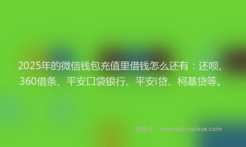 2025年的微信钱包充值里借钱怎么还有：还呗、360借条、平安口袋银行、平安i贷、柯基贷等。