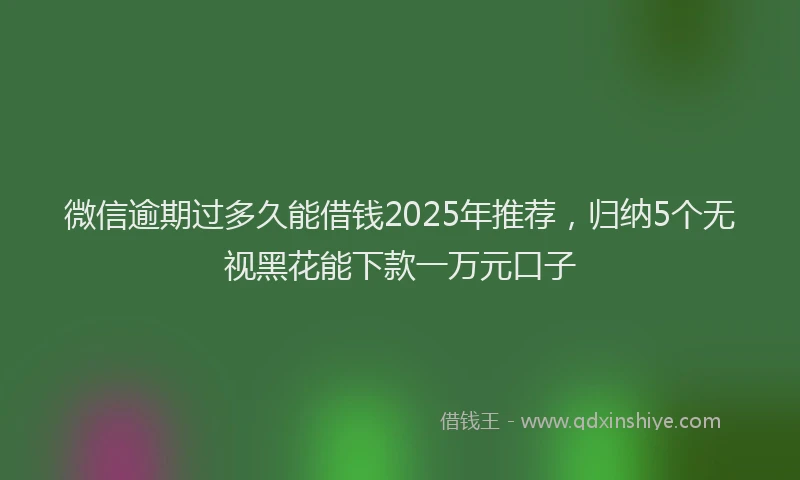 微信逾期过多久能借钱2025年推荐，归纳5个无视黑花能下款一万元口子