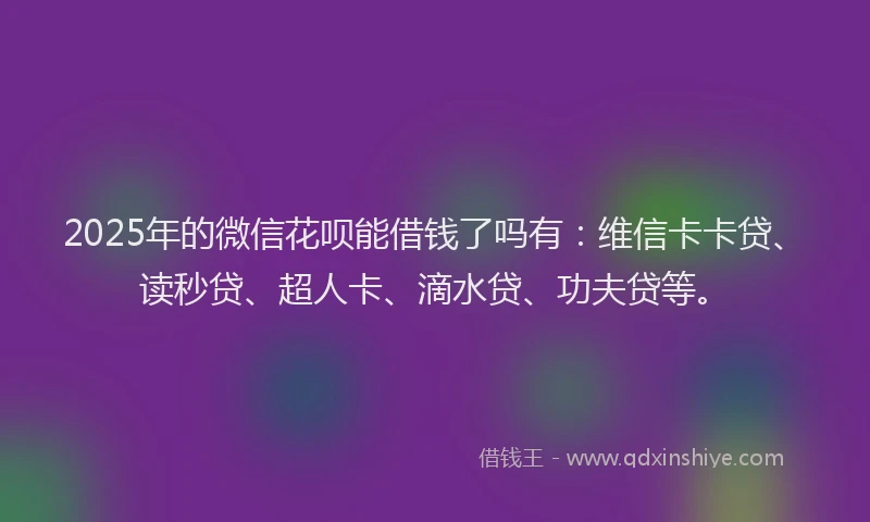 2025年的微信花呗能借钱了吗有：维信卡卡贷、读秒贷、超人卡、滴水贷、功夫贷等。