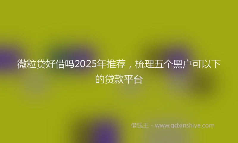 微粒贷好借吗2025年推荐，梳理五个黑户可以下的贷款平台