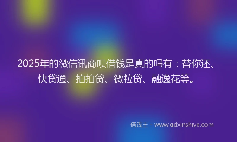 2025年的微信讯商呗借钱是真的吗有:替你还、快贷通、拍拍贷、微粒贷、融逸花等。