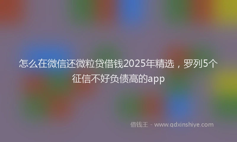 怎么在微信还微粒贷借钱2025年精选，罗列5个征信不好负债高的app