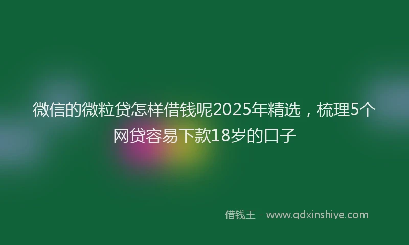 微信的微粒贷怎样借钱呢2025年精选，梳理5个网贷容易下款18岁的口子