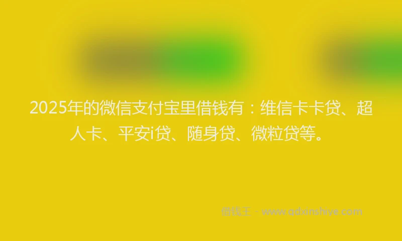 2025年的微信支付宝里借钱有：维信卡卡贷、超人卡、平安i贷、随身贷、微粒贷等。