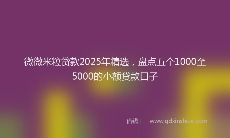 微微米粒贷款2025年精选，盘点五个1000至5000的小额贷款口子