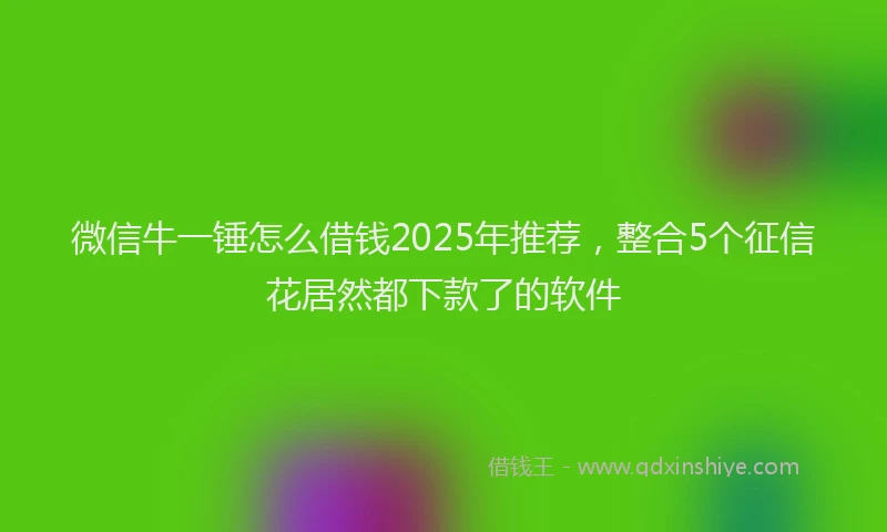 微信牛一锤怎么借钱2025年推荐，整合5个征信花居然都下款了的软件