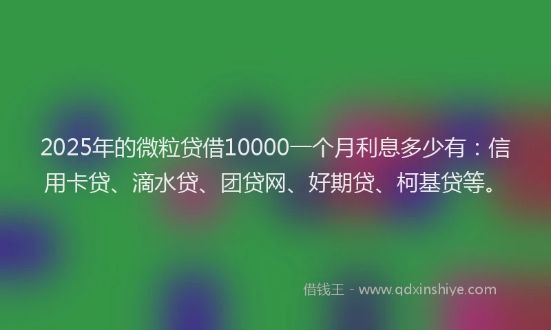 2025年的微粒贷借10000一个月利息多少有：信用卡贷、滴水贷、团贷网、好期贷、柯基贷等。
