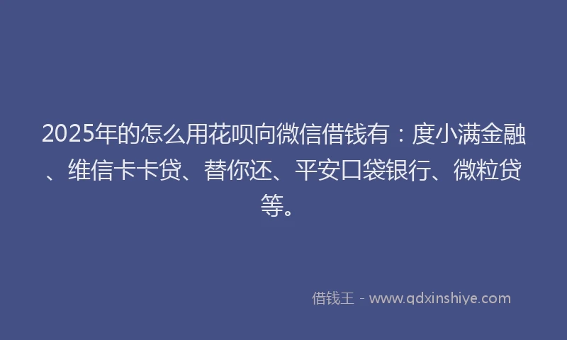 2025年的怎么用花呗向微信借钱有：度小满金融、维信卡卡贷、替你还、平安口袋银行、微粒贷等。