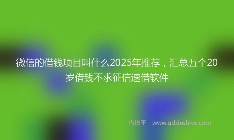 微信的借钱项目叫什么2025年推荐，汇总五个20岁借钱不求征信速借软件