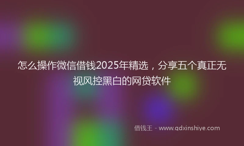 怎么操作微信借钱2025年精选，分享五个真正无视风控黑白的网贷软件