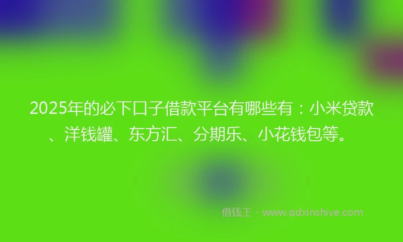 2025年的必下口子借款平台有哪些有：小米贷款、洋钱罐、东方汇、分期乐、小花钱包等。