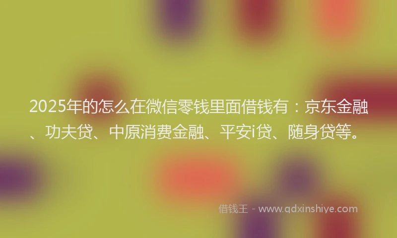 2025年的怎么在微信零钱里面借钱有：京东金融、功夫贷、中原消费金融、平安i贷、随身贷等。