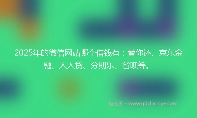 2025年的微信网站哪个借钱有：替你还、京东金融、人人贷、分期乐、省呗等。