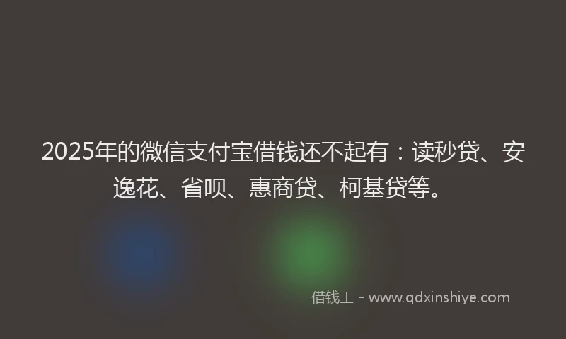 2025年的微信支付宝借钱还不起有：读秒贷、安逸花、省呗、惠商贷、柯基贷等。