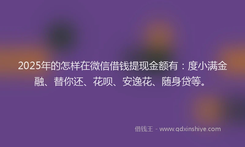 2025年的怎样在微信借钱提现金额有：度小满金融、替你还、花呗、安逸花、随身贷等。