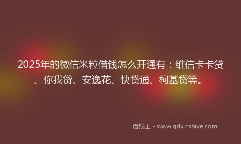 2025年的微信米粒借钱怎么开通有：维信卡卡贷、你我贷、安逸花、快贷通、柯基贷等。