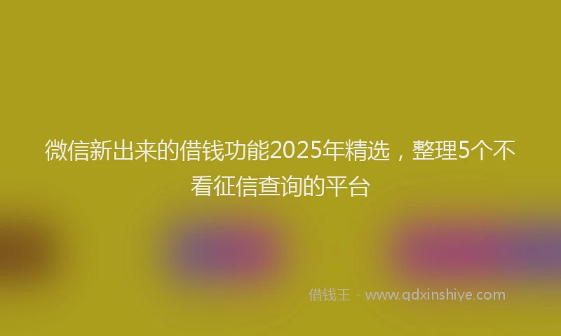 微信新出来的借钱功能2025年精选，整理5个不看征信查询的平台