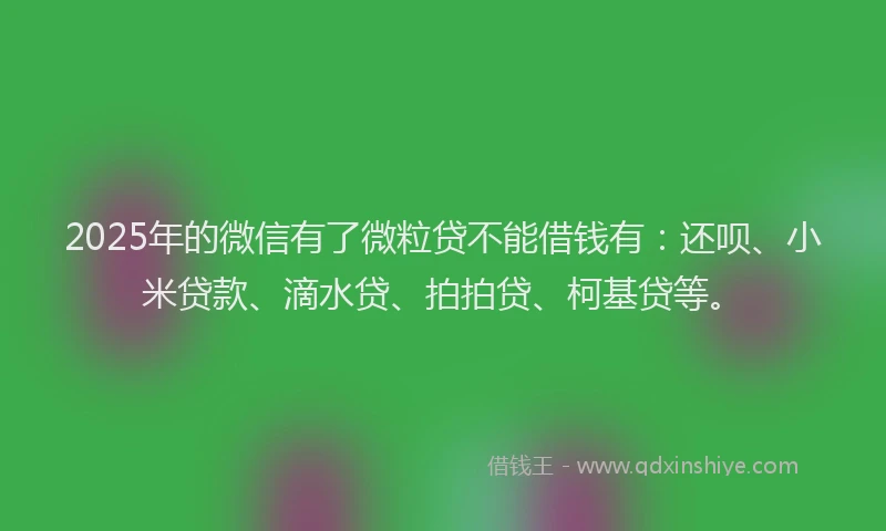 2025年的微信有了微粒贷不能借钱有：还呗、小米贷款、滴水贷、拍拍贷、柯基贷等。