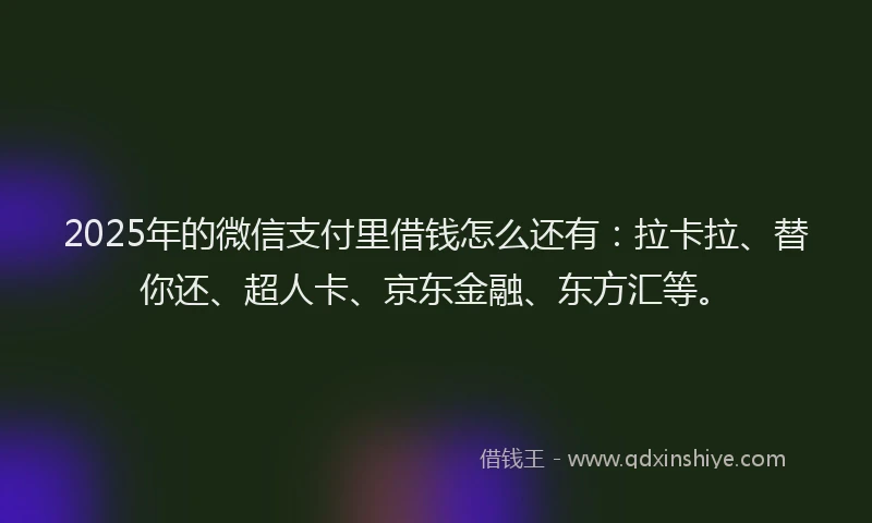 2025年的微信支付里借钱怎么还有：拉卡拉、替你还、超人卡、京东金融、东方汇等。