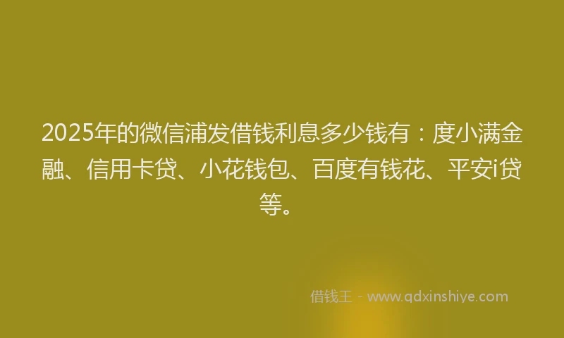 2025年的微信浦发借钱利息多少钱有：度小满金融、信用卡贷、小花钱包、百度有钱花、平安i贷等。