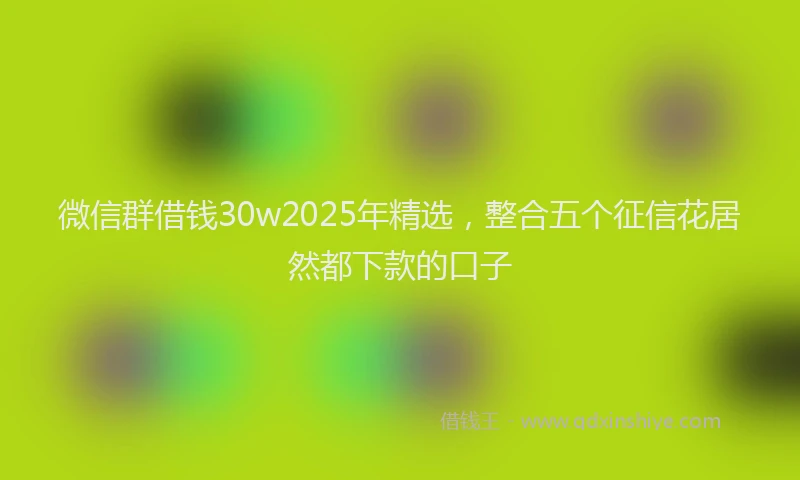 微信群借钱30w2025年精选，整合五个征信花居然都下款的口子