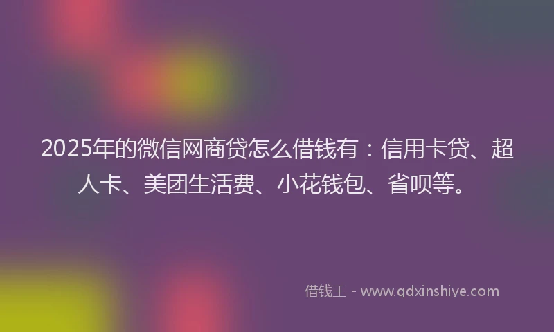 2025年的微信网商贷怎么借钱有：信用卡贷、超人卡、美团生活费、小花钱包、省呗等。